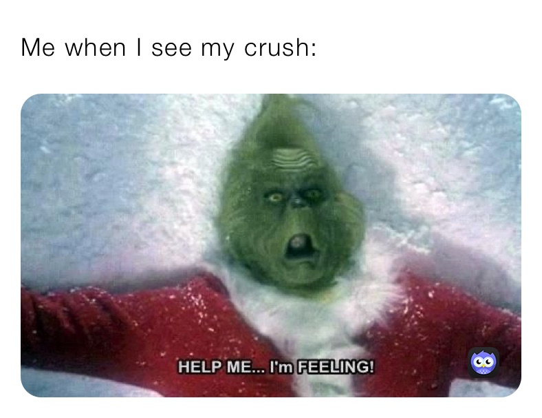 Me when I see my crush: