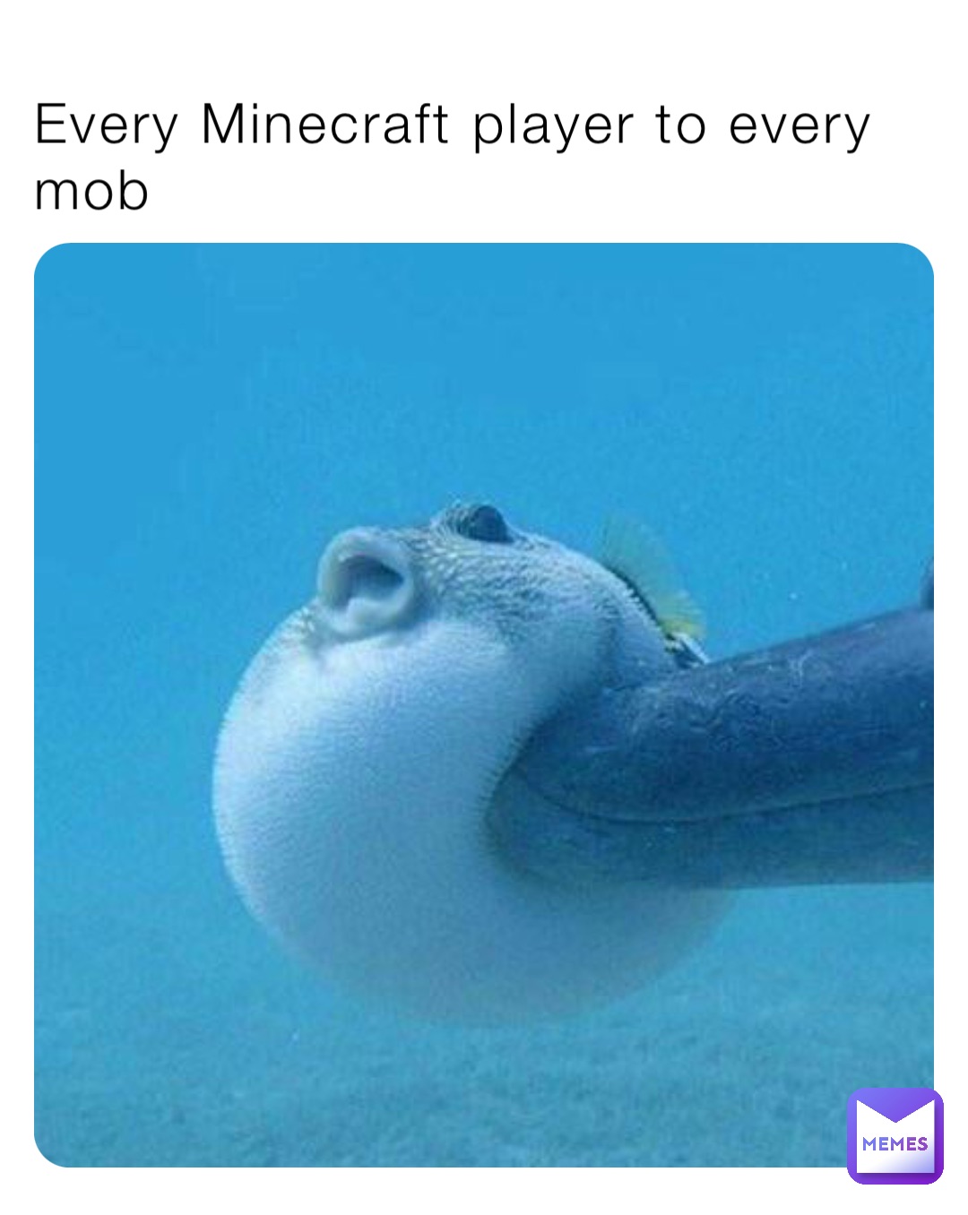 Every Minecraft player to every mob