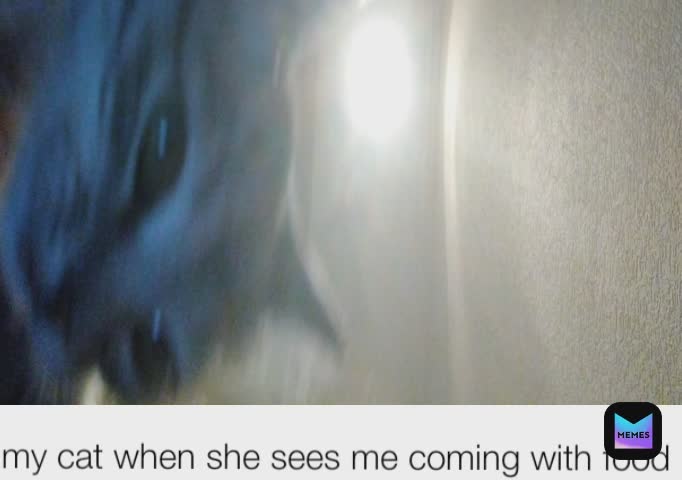 Meme by Chr1s_MDmeme