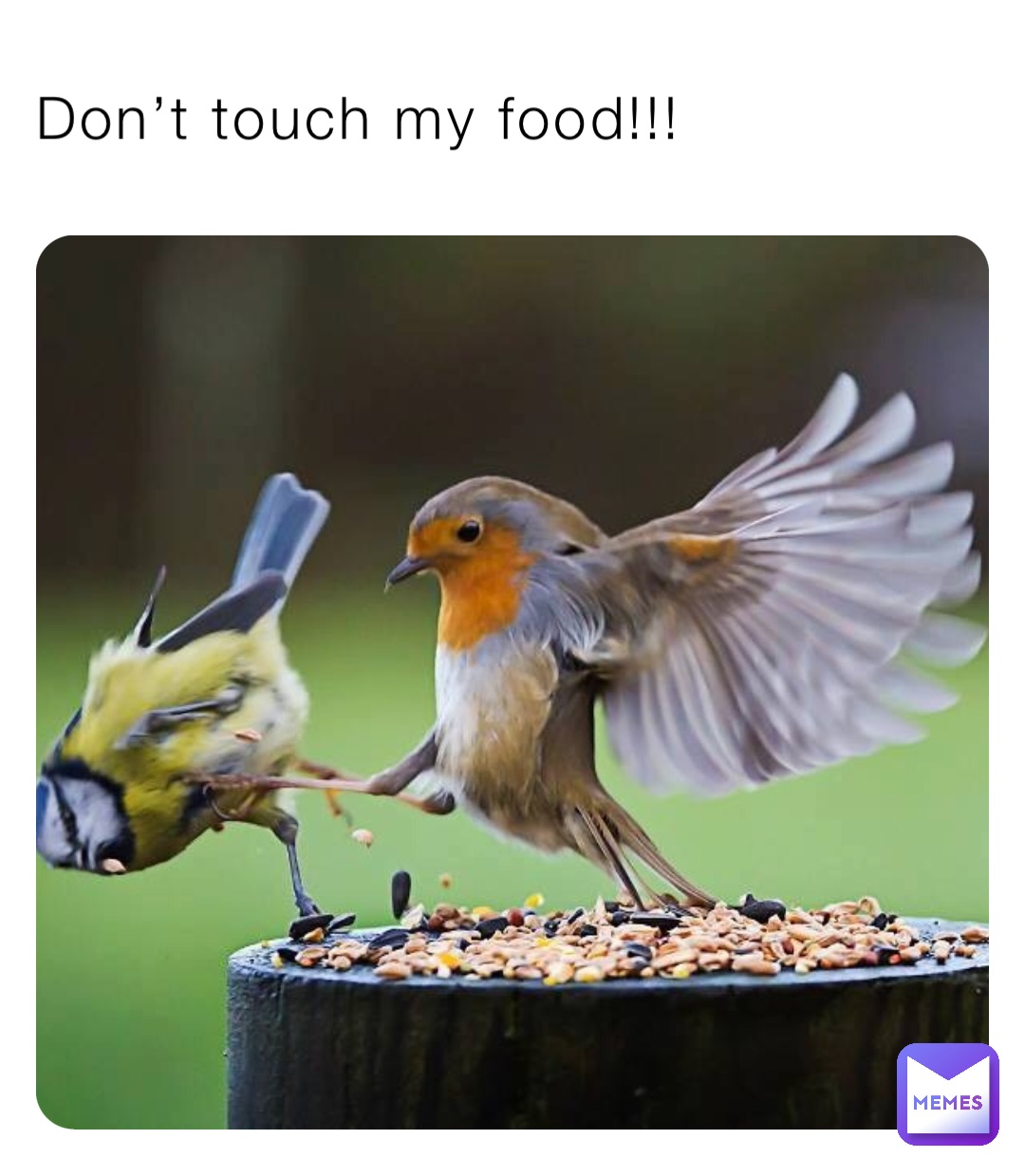Don’t touch my food!!!