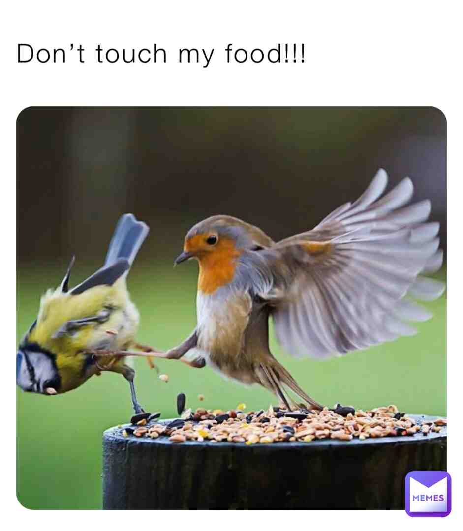 Meme shared by @space_Axolotl