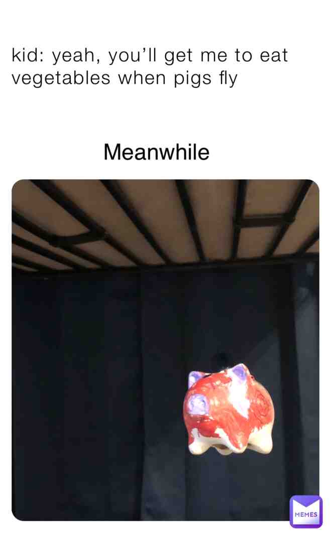 Meme shared by @space_Axolotl