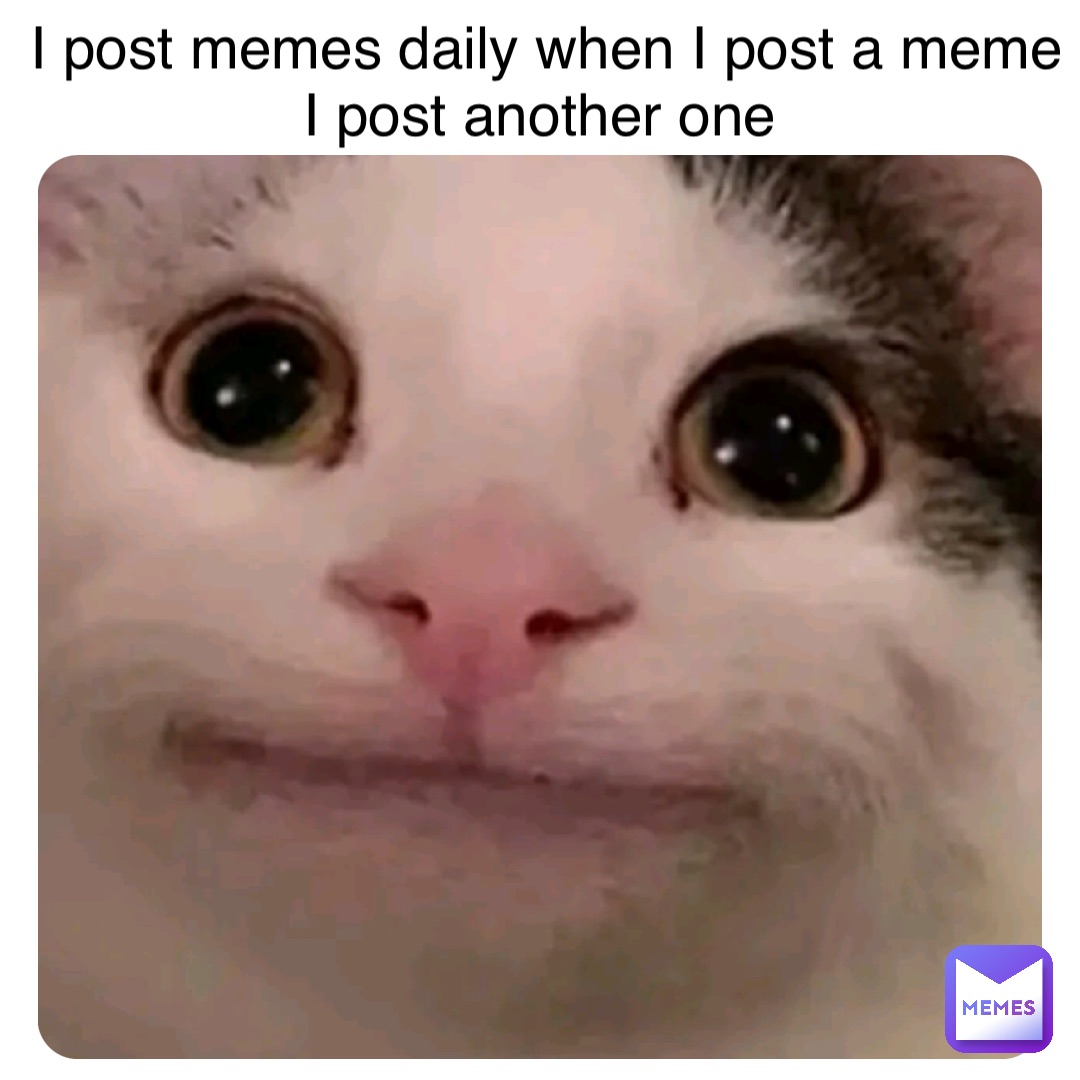 I post memes daily when I post a meme I post another one