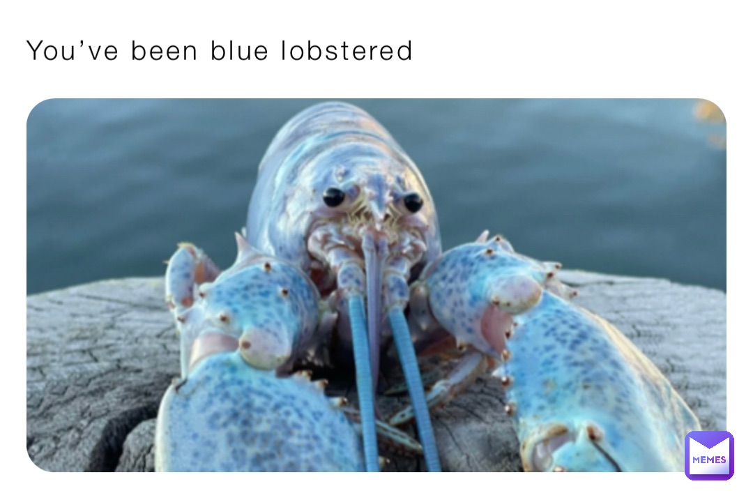 You’ve been blue lobstered