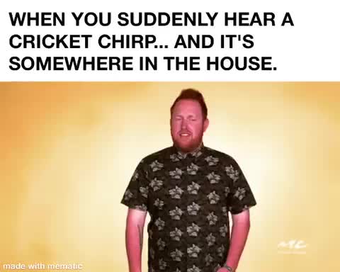 #wtf  #wherethebloodyhellareya  #dafuq