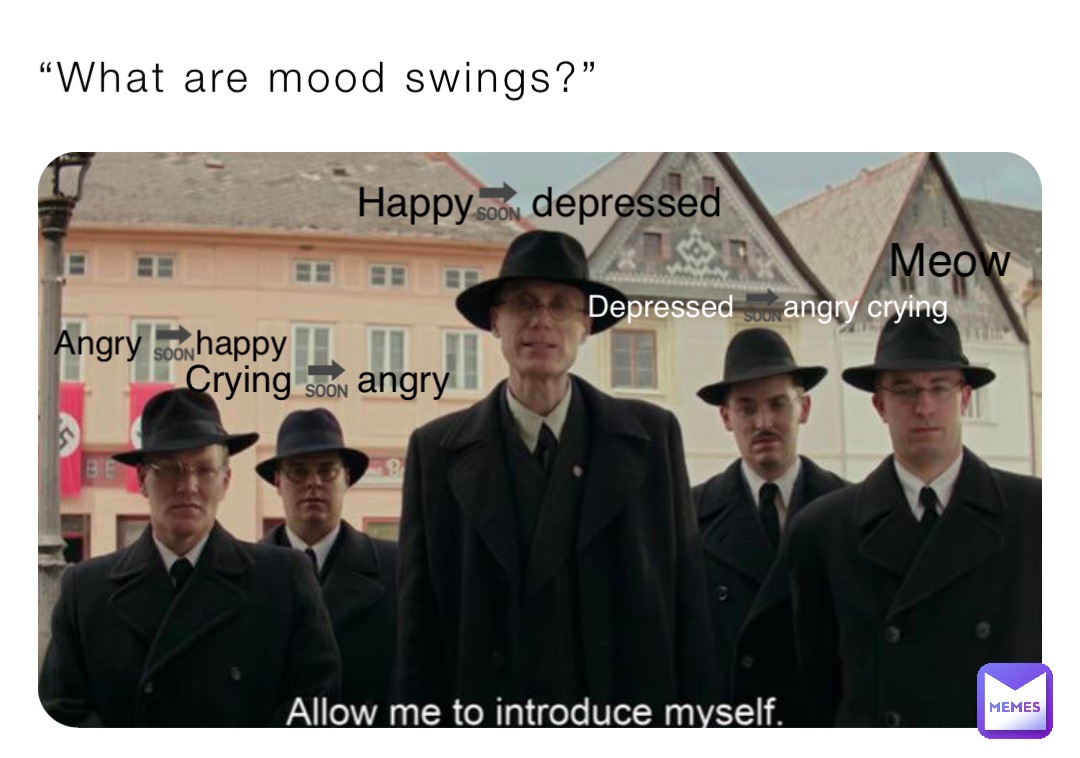 “What are mood swings?” Angry 🔜happy Crying 🔜 angry Happy🔜 depressed Depressed 🔜angry crying Meow