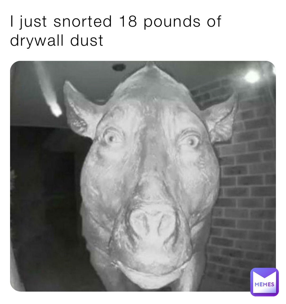 I just snorted 18 pounds of drywall dust