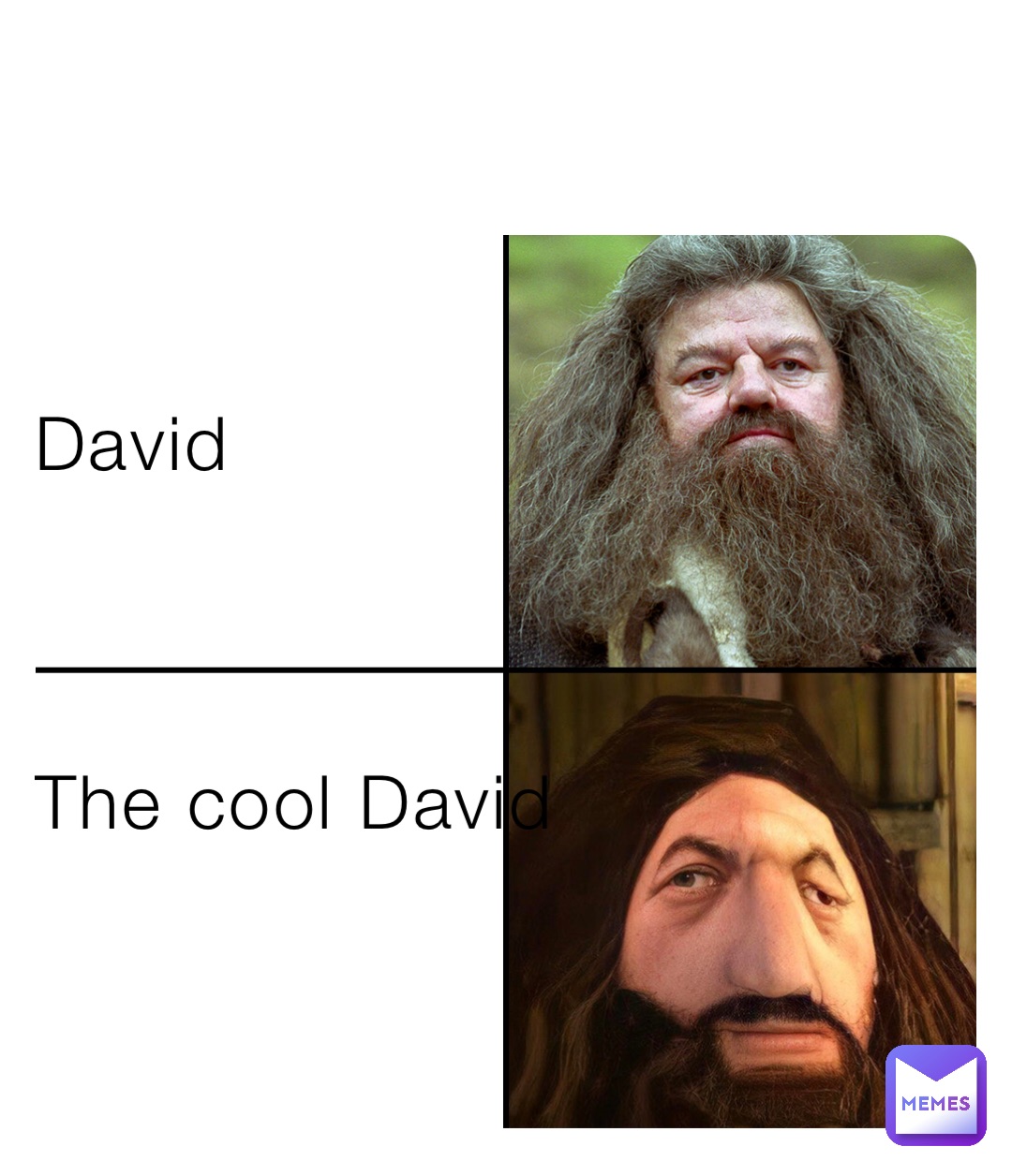 David



The cool David