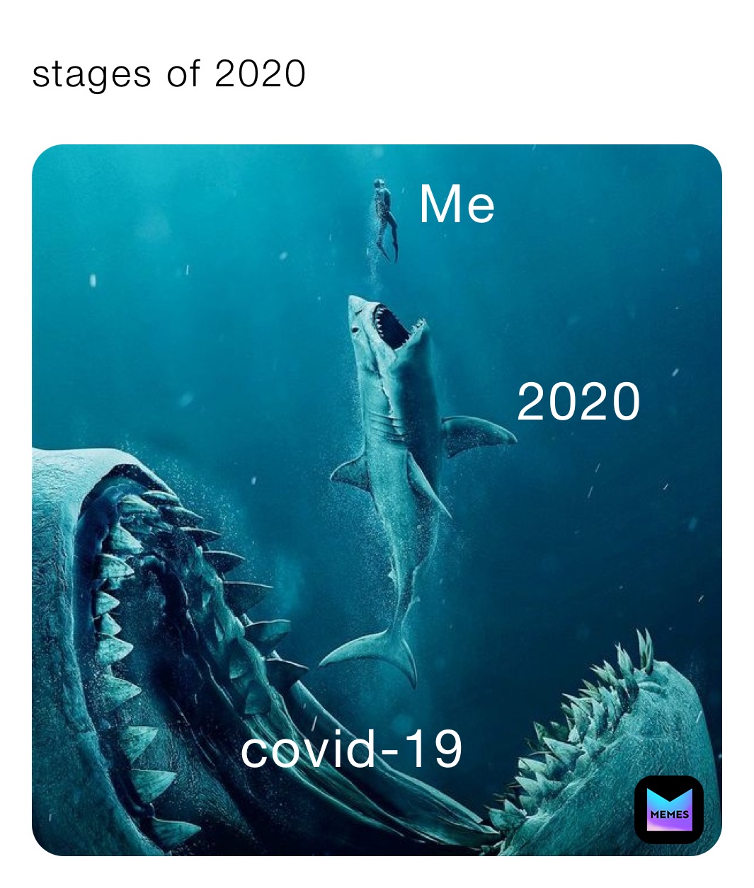 stages of 2020