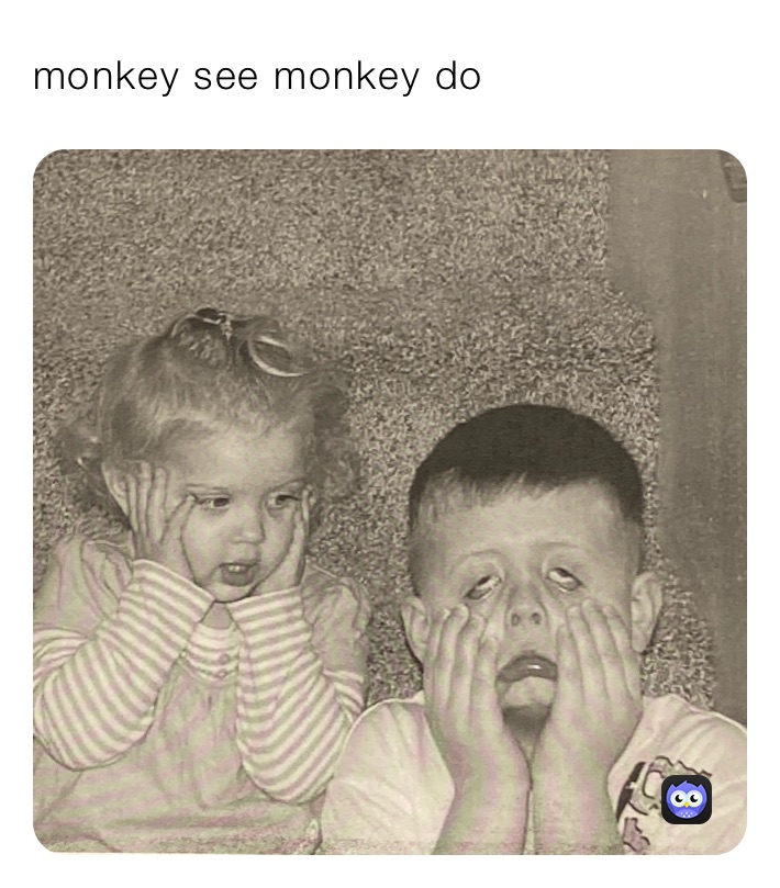 monkey see monkey do 