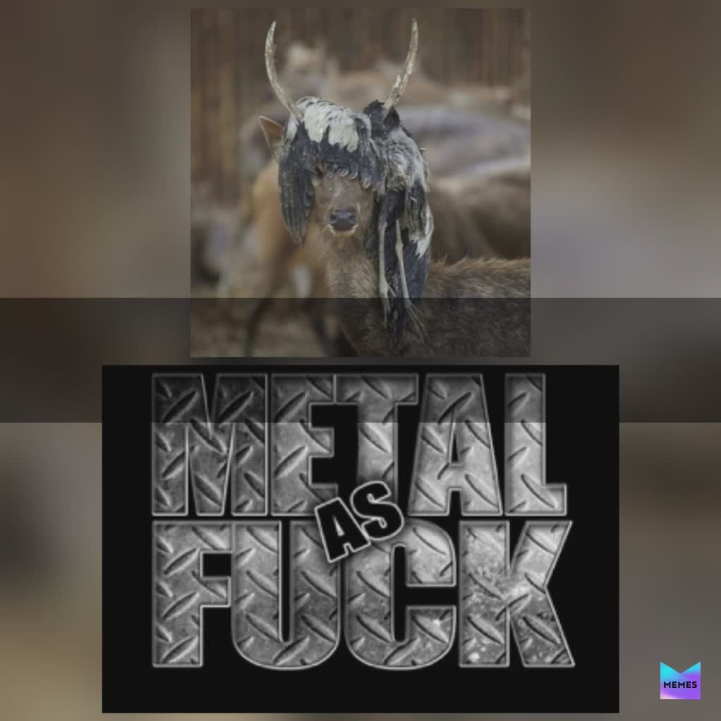 Meme by rockandmetal_posts