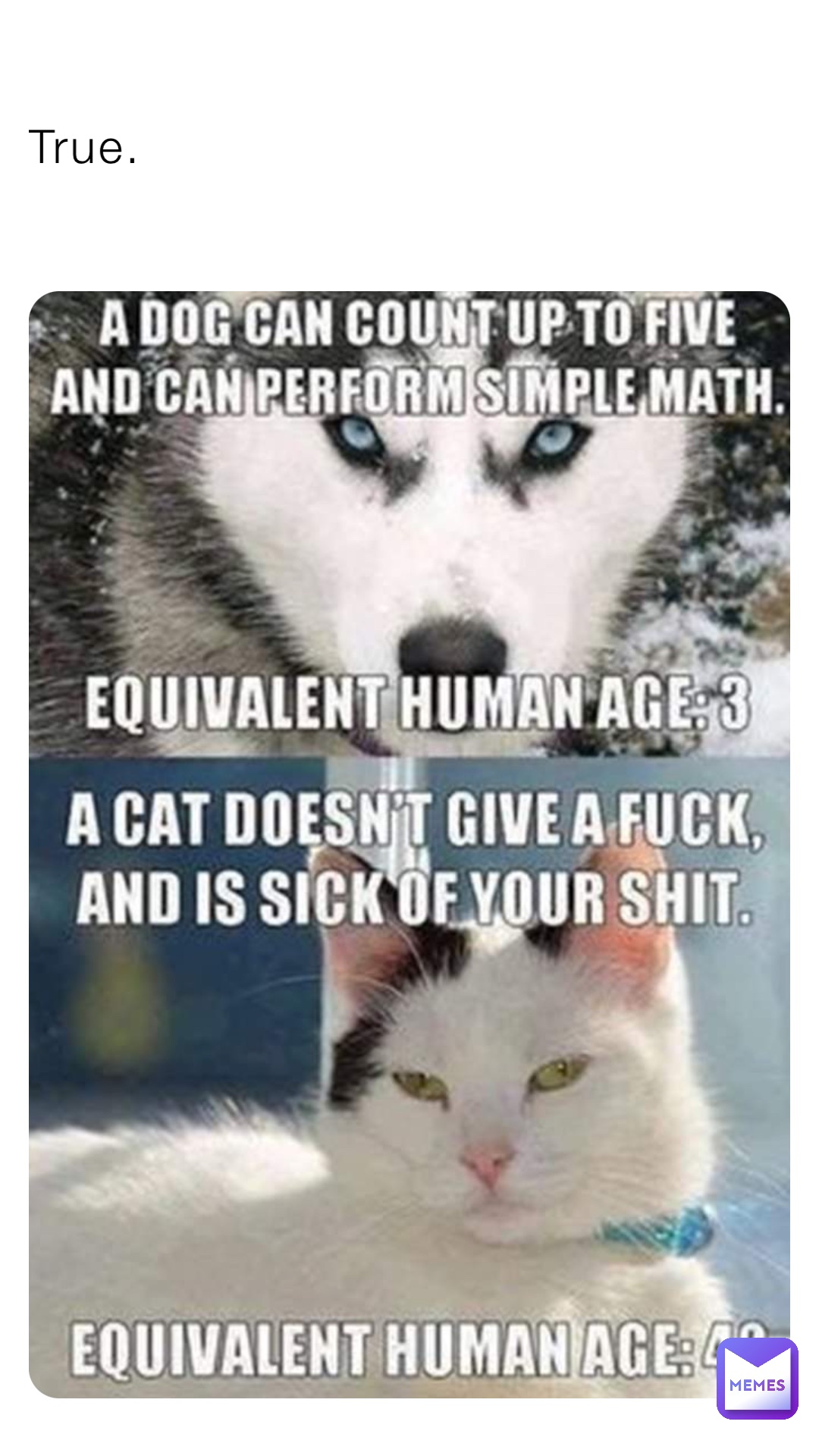 True.