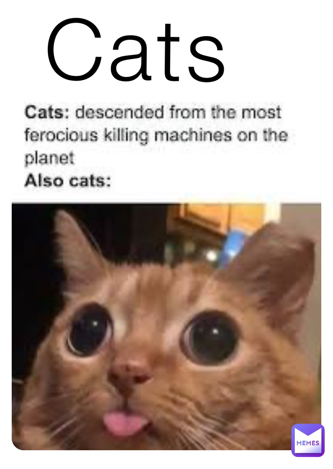 Cats