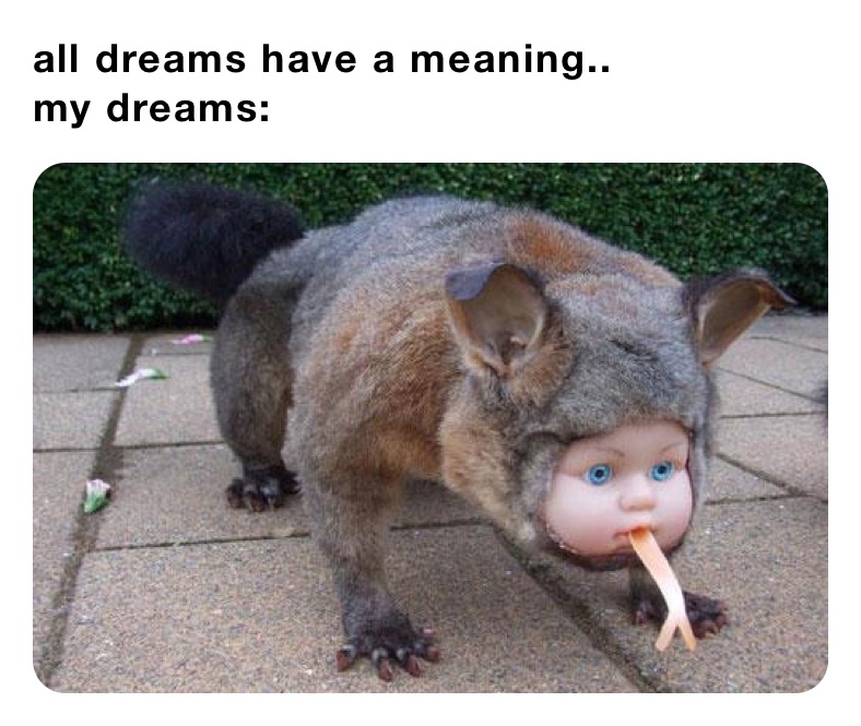all dreams have a meaning..
my dreams: