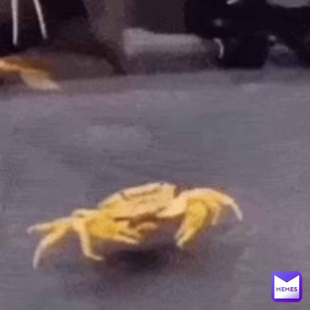 #mrkrabs
