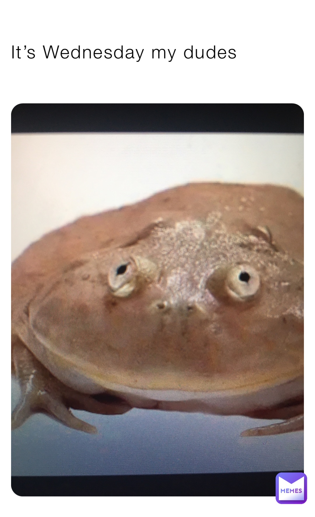 It’s Wednesday my dudes