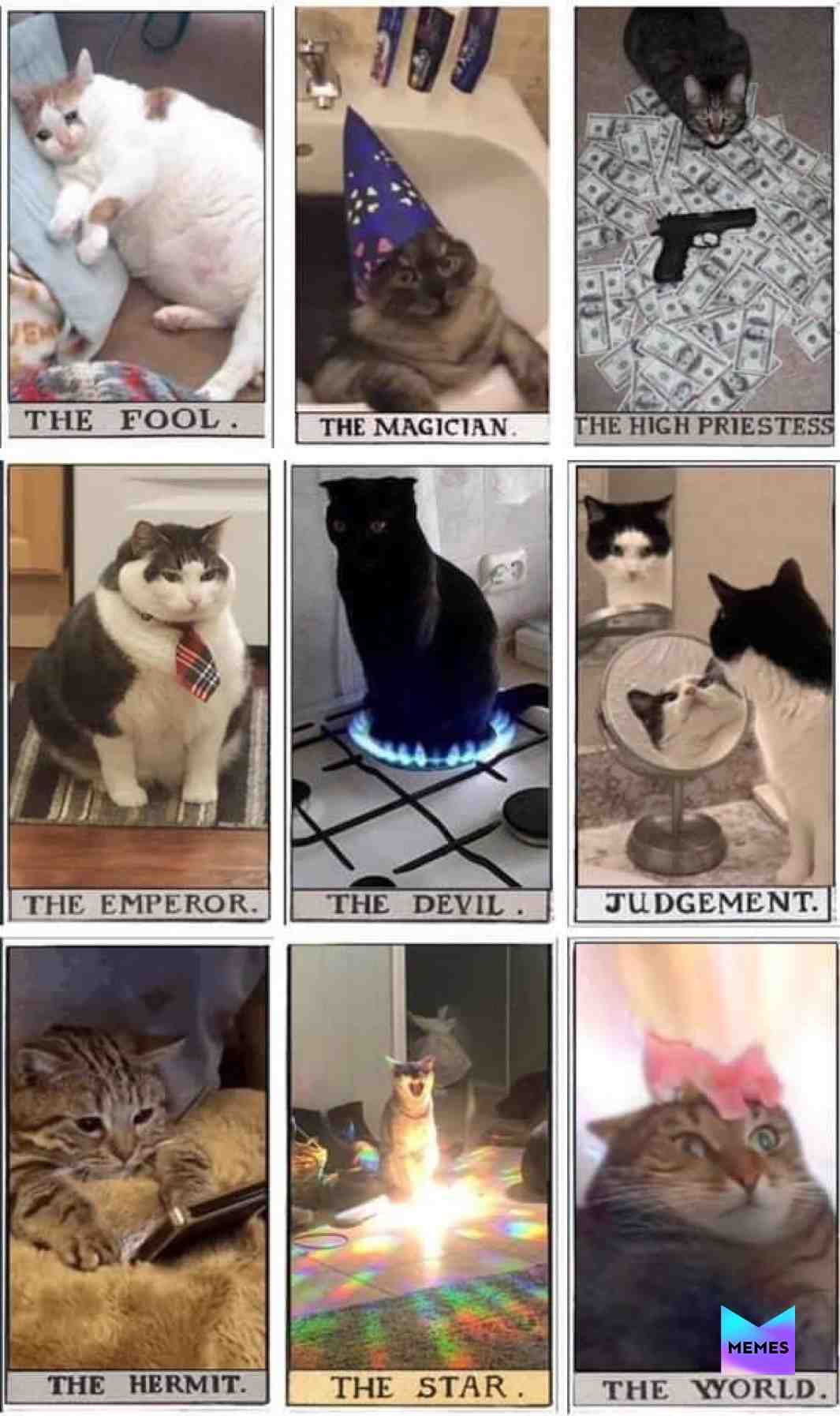 #notmine #shitpost