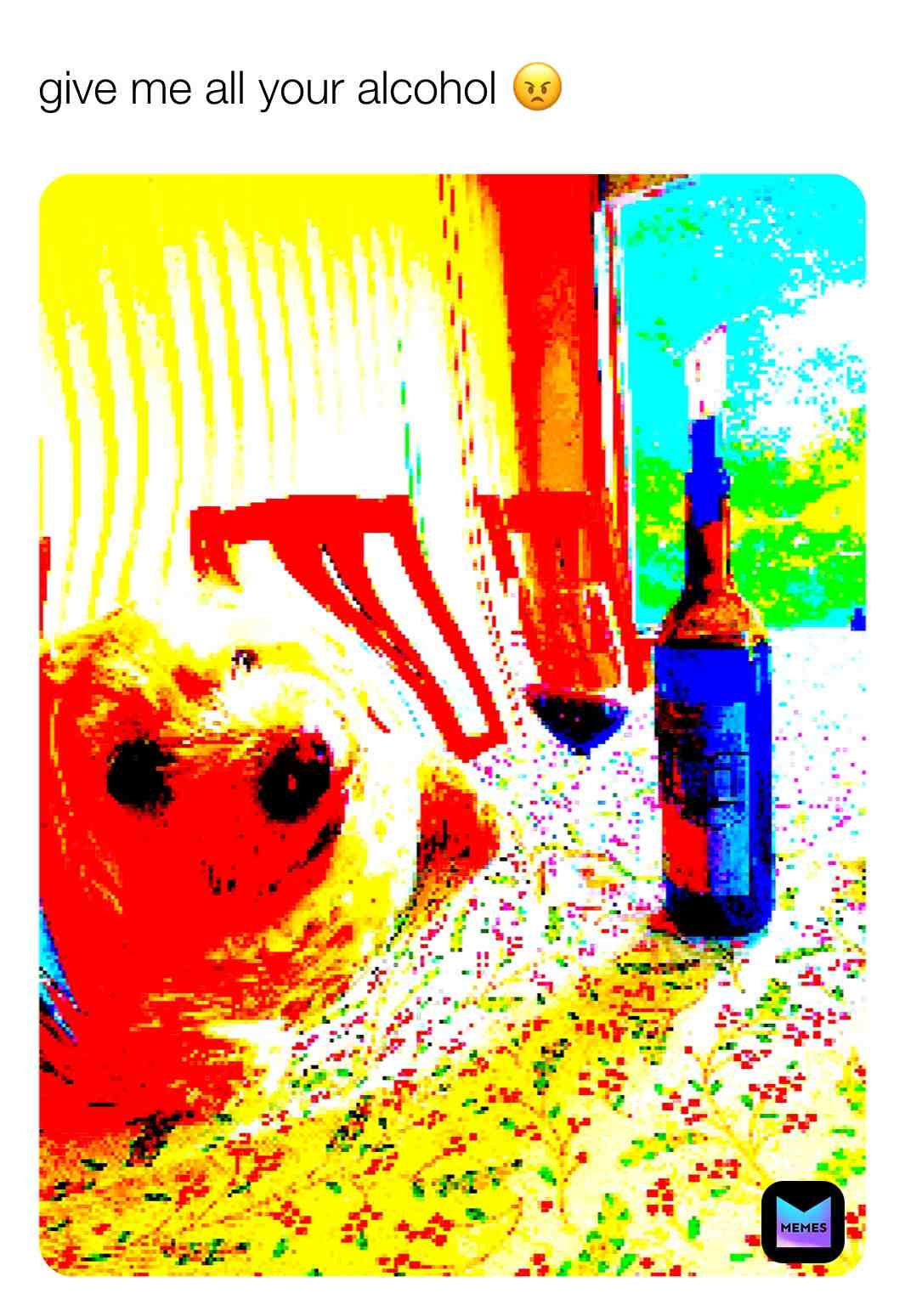 next up on CNN: dOgS wHo dRiNk