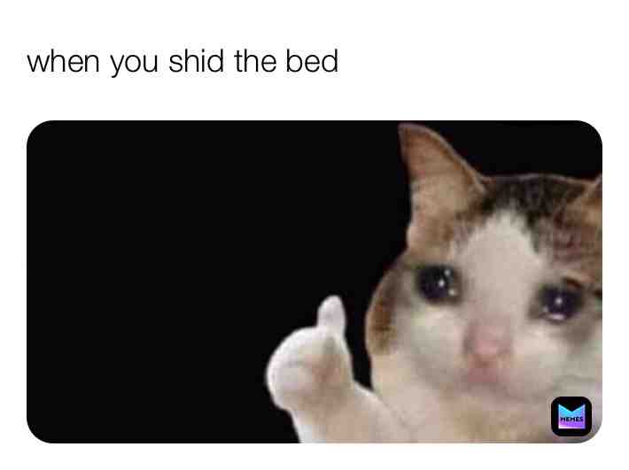 Meme shared by @cookieman21milk