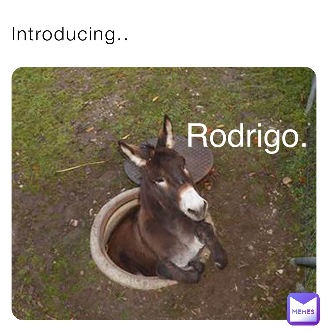 Introducing.. Rodrigo., @sugatae2623