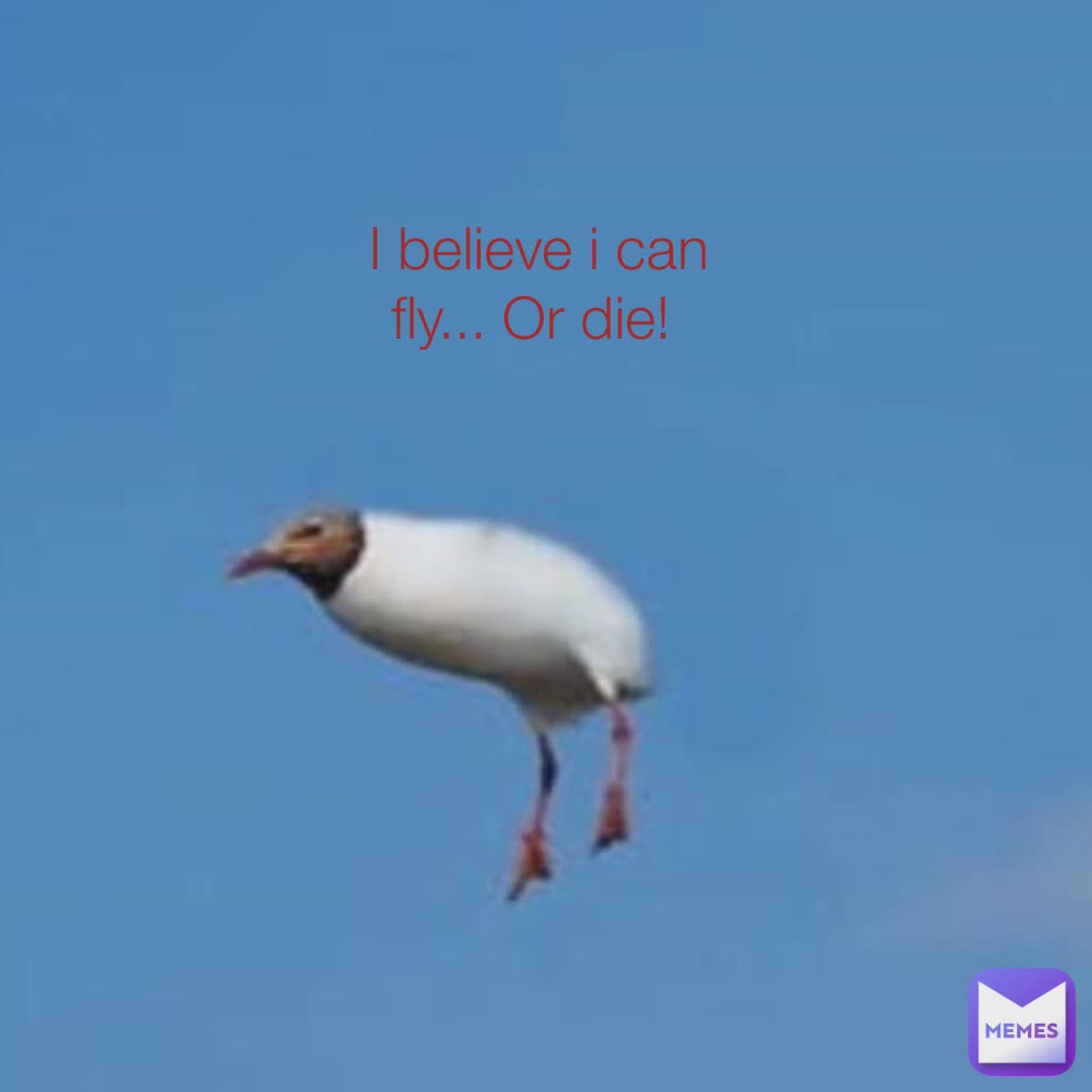 I believe i can fly!  I believe i can fly... Or die! 
