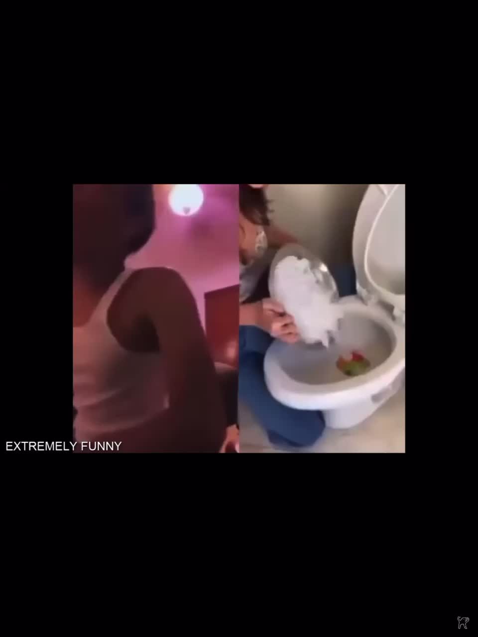 Meme preview
