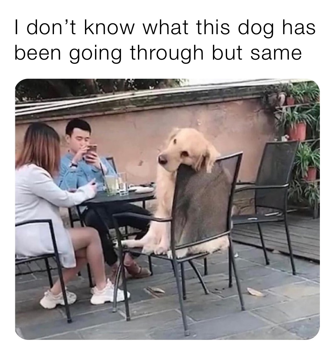 I don’t know what this dog has been going through but same