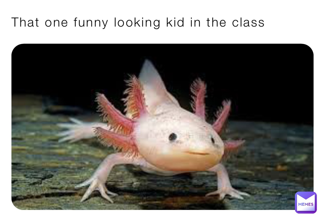 That one funny looking kid in the class
