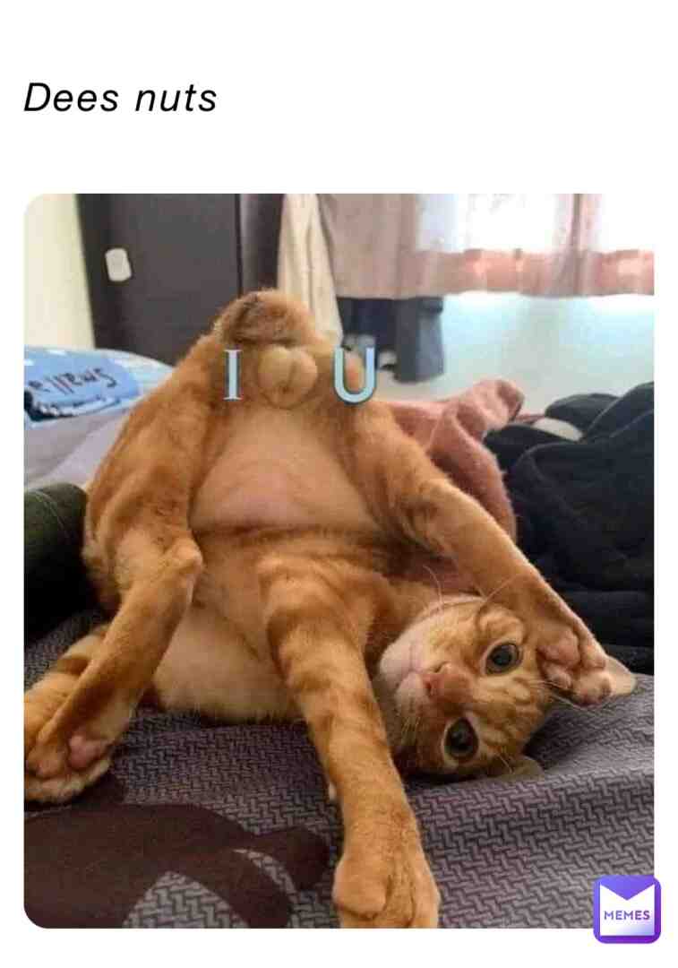 Meme preview