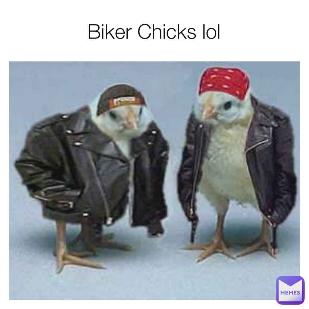 Biker Chicks lol