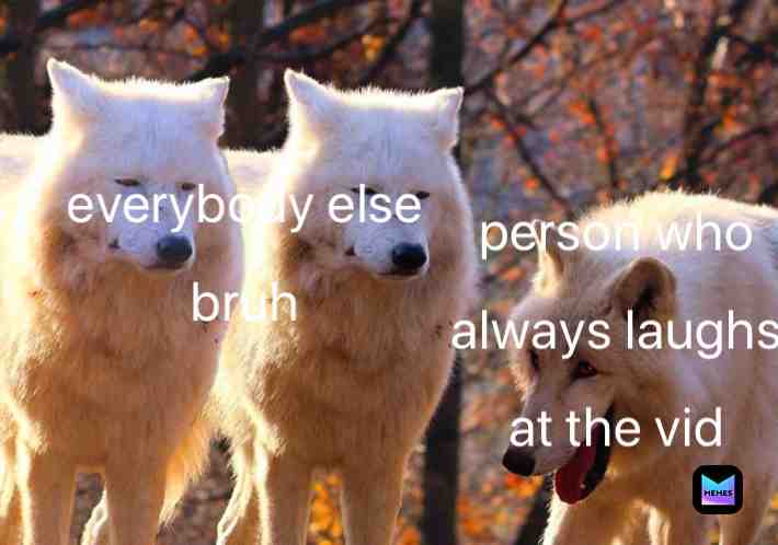Meme shared by @Jakes_