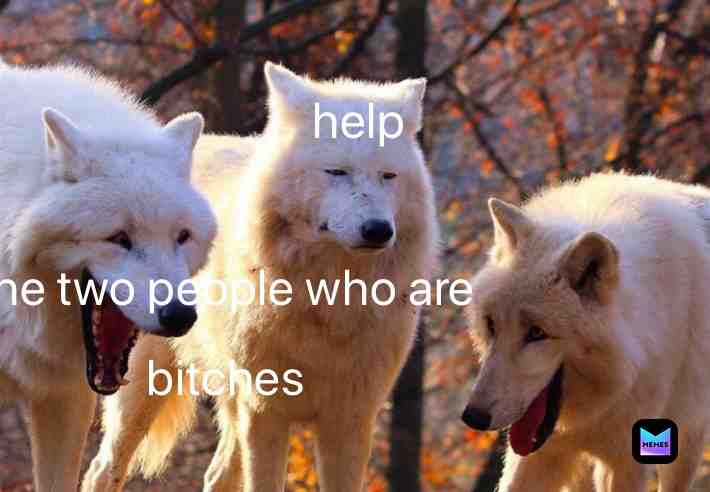 Meme shared by @Jakes_
