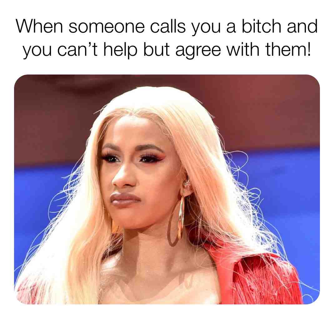 TheyRightDoe #IAmABitch #CantArgueFacts #BitchFacts #IllAdmitIt