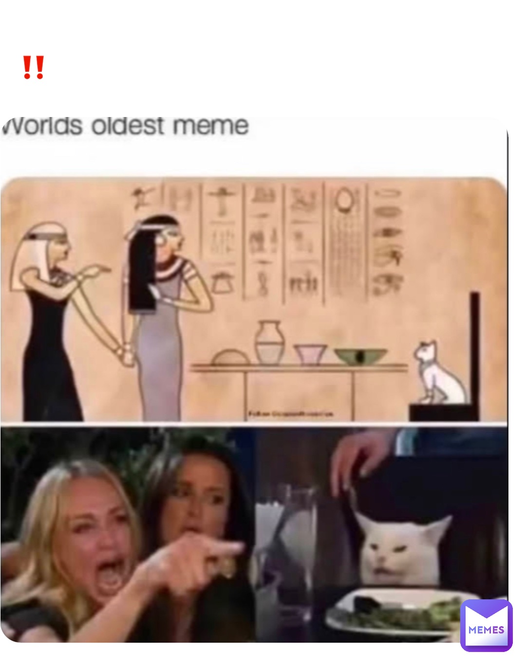 ‼️