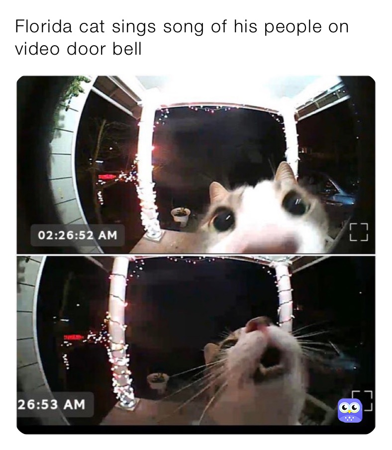 Meme by Captain_Rex130