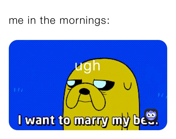 me in the mornings:
