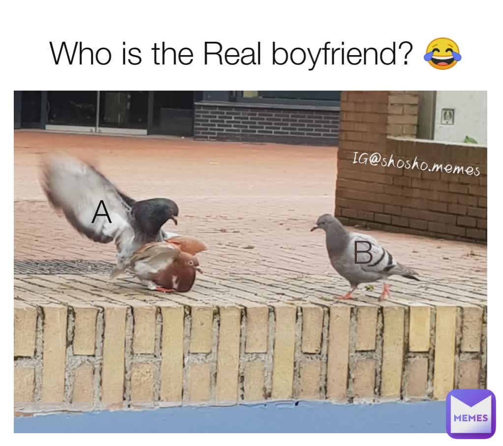 A B A Who is the Real boyfriend? 😂  IG@shosho.memes 