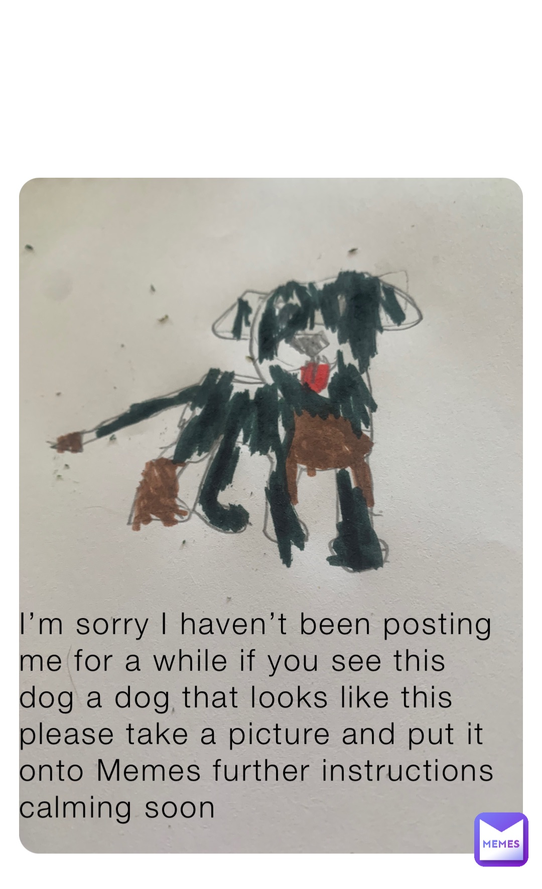 I’m sorry I haven’t been posting me for a while if you see this dog a dog that looks like this please take a picture and put it onto Memes further instructions calming soon