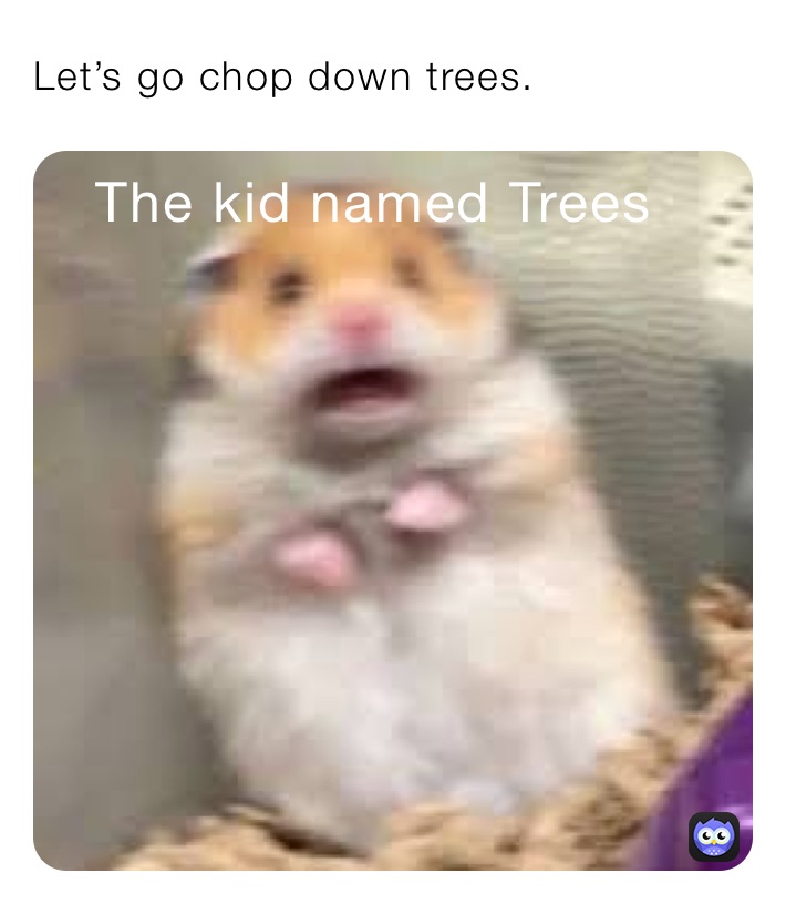 Let’s go chop down trees.