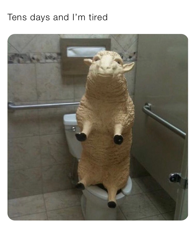 Tens days and I’m tired