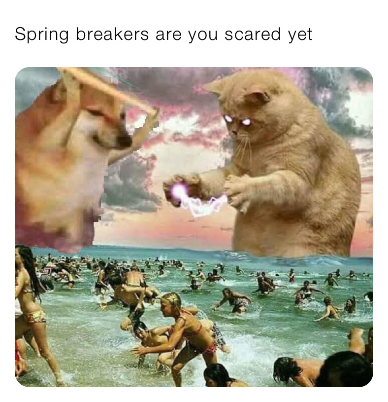 Spring breakers are you scared yet