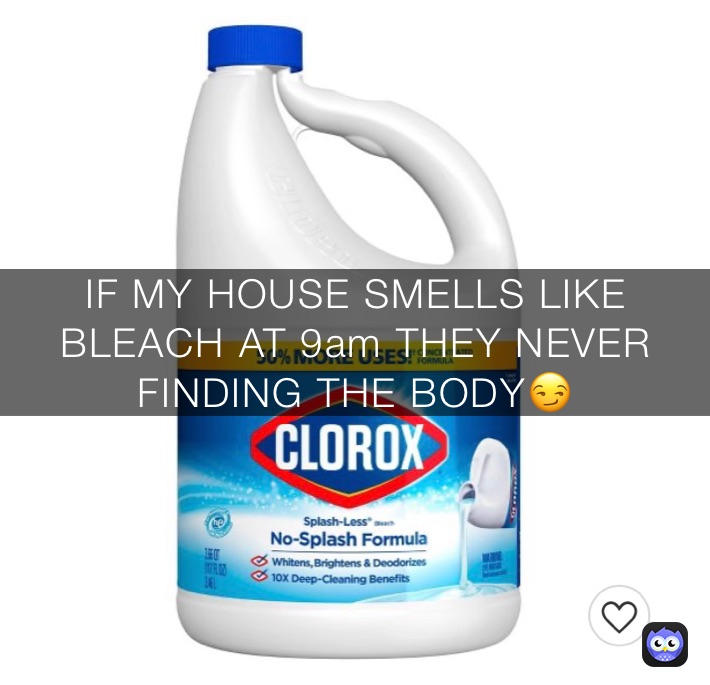 Shame on you Clorox: Bleach Doesn't Belong in our Homes