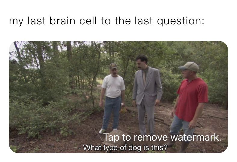 Meme by haiiiii_0505