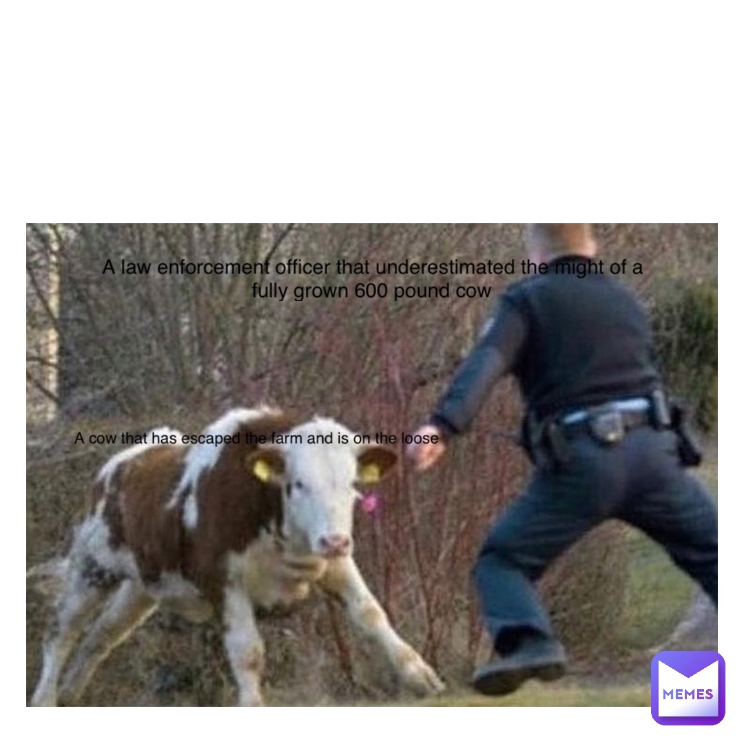 Text Here A cow that has escaped the farm and is on the loose A law enforcement officer that underestimated the might of a fully grown 600 pound cow