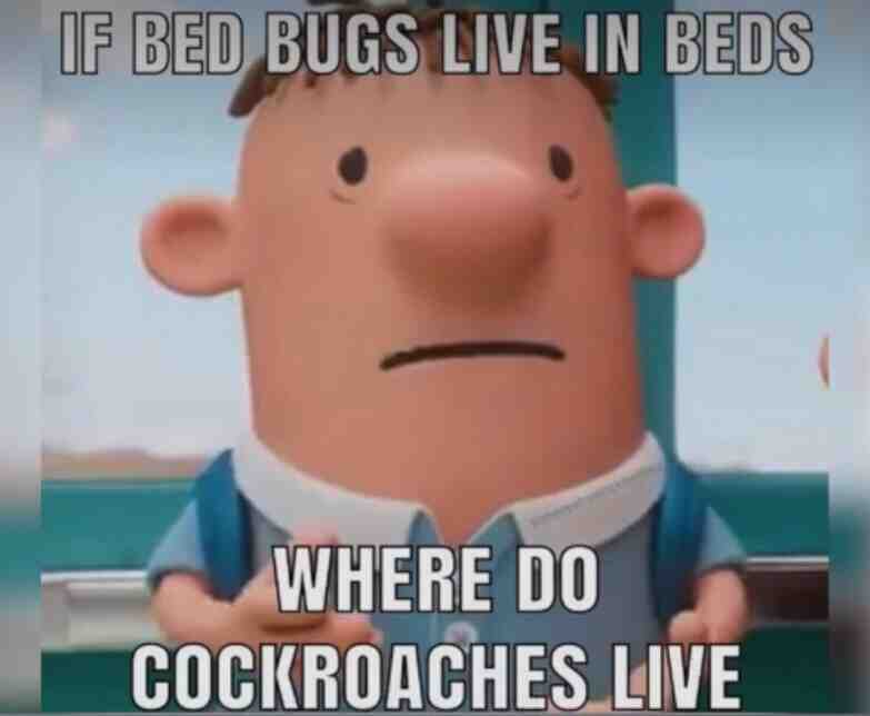 Meme shared by @KING_of_Oofs