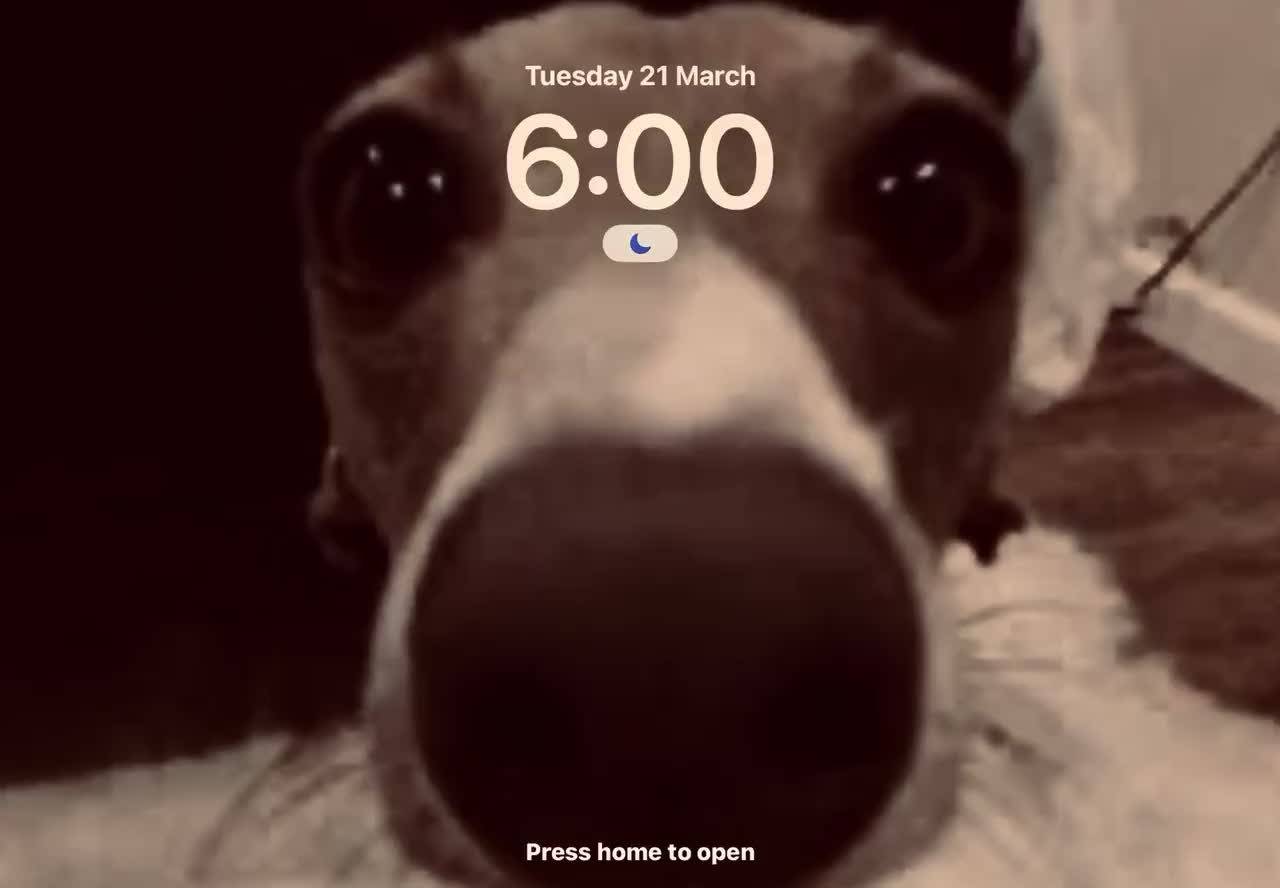 i found someone's wallpaper and it was this💀💀