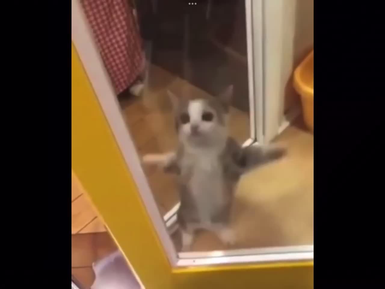 repost if happi, DÕ IT NOW