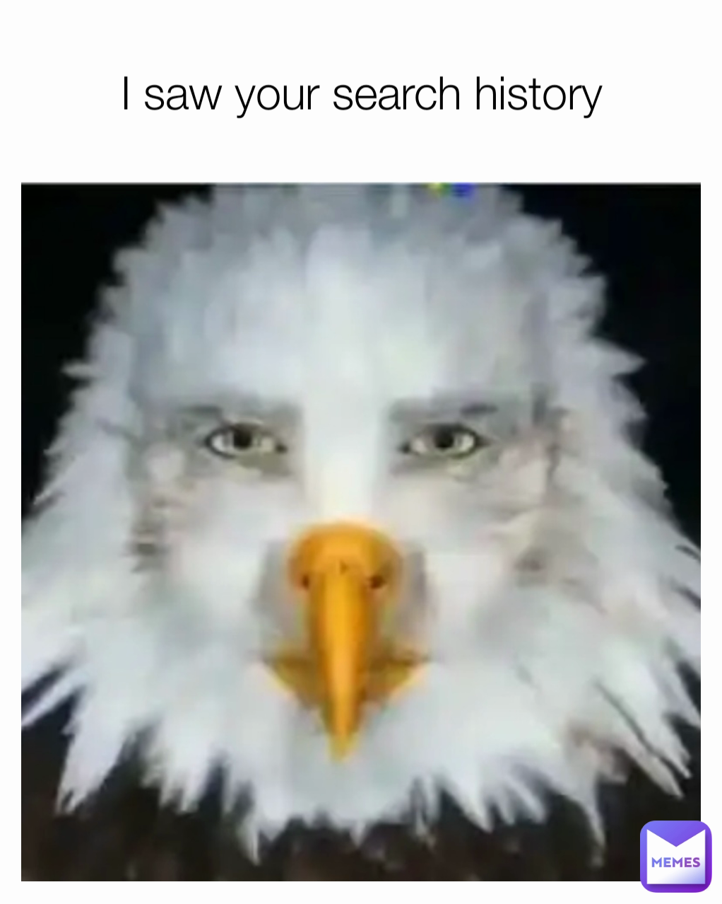 I saw your search history
