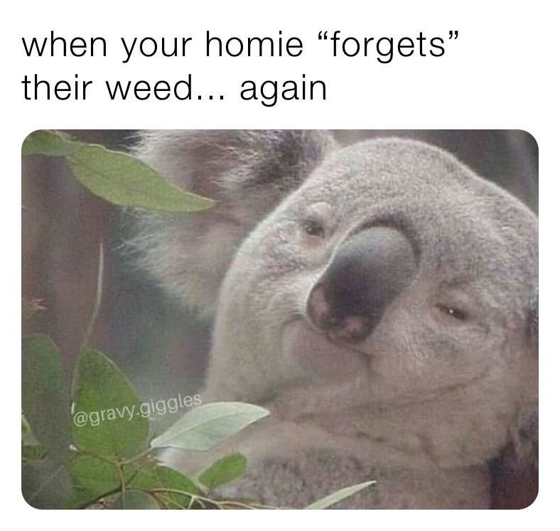 when your homie “forgets” their weed... again