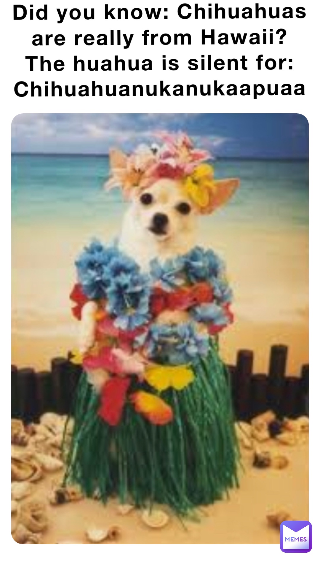 Meme by lesgetsfunny